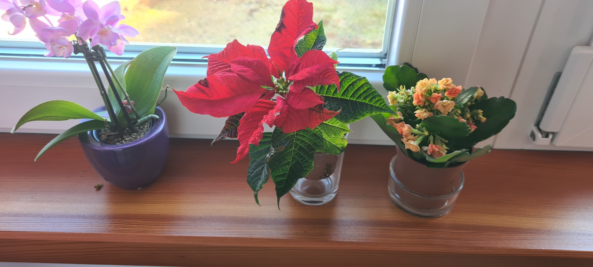 Buchenau_2022 (78).jpg